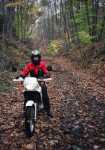 88 Honda NX250 