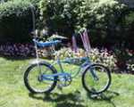 schwinn stingray