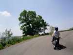 Greg Cruisin